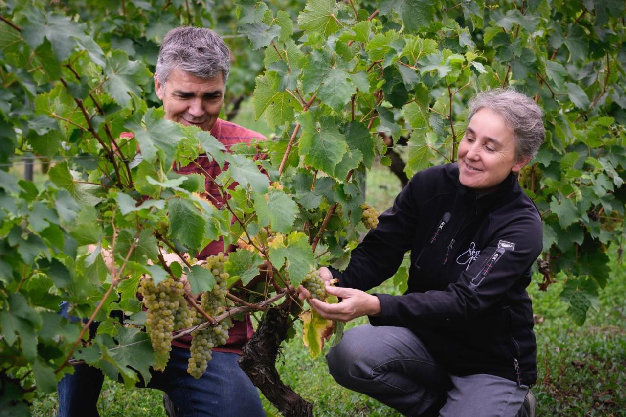 Rochefort-sur-Loire Vignoble Chateau Piegue - Winery المظهر الخارجي الصورة
