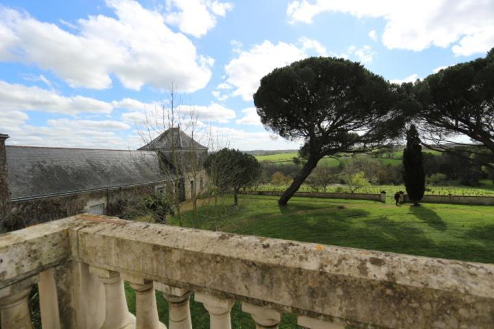 Rochefort-sur-Loire Vignoble Chateau Piegue - Winery المظهر الخارجي الصورة